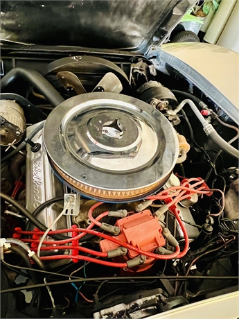 View Listing Image