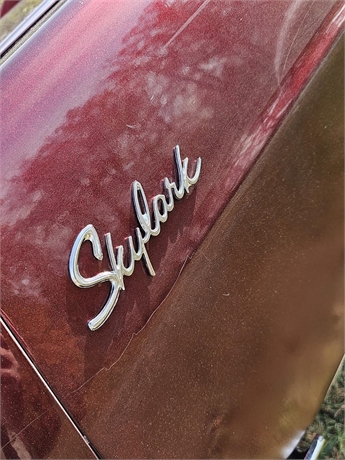 View Listing Image