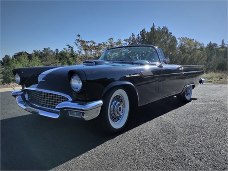 1957 Ford Thunderbird available for Auction | AutoHunter.com | 38081297