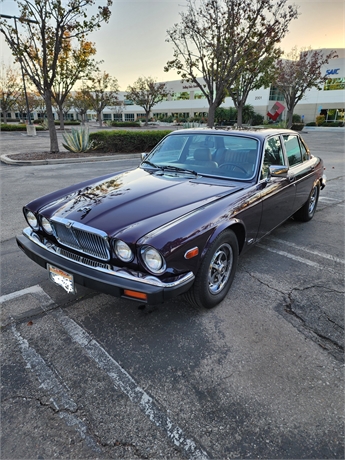 View Listing Image