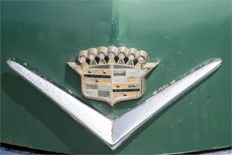 View Listing Image