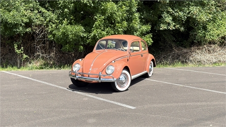View Listing Image