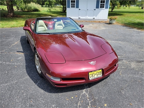 View Listing Image