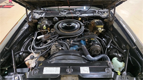 View Listing Image