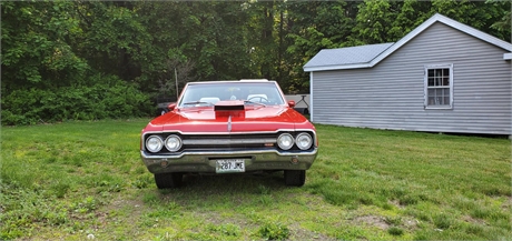 View Listing Image