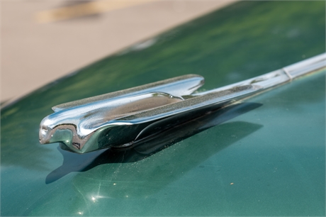View Listing Image