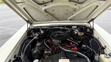 View Listing Image
