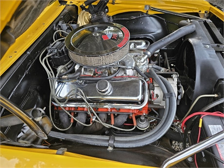 View Listing Image