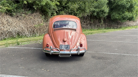 View Listing Image