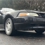 View Listing Image
