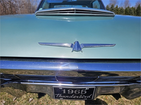 View Listing Image