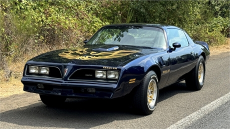 View this 1977 PONTIAC FIREBIRD TRANS AM