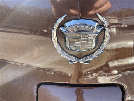 View Listing Image