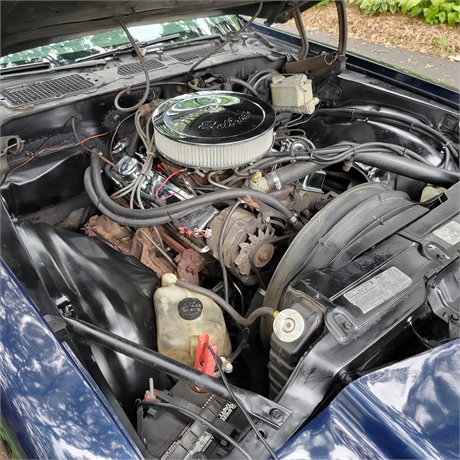View Listing Image