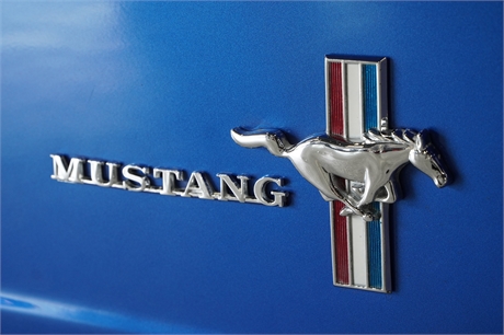 View Listing Image