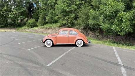 View Listing Image