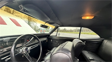 View Listing Image