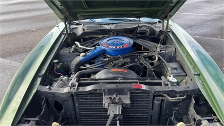 View Listing Image