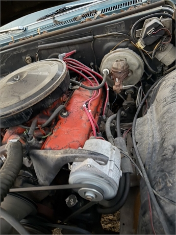 View Listing Image