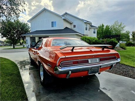View Listing Image
