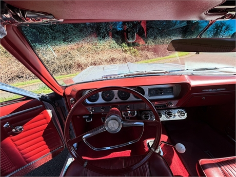 View Listing Image