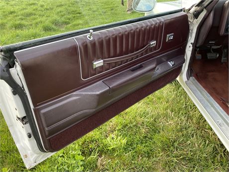 Monte carlo on sale door panels