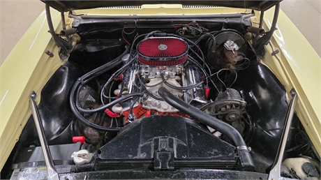 View Listing Image