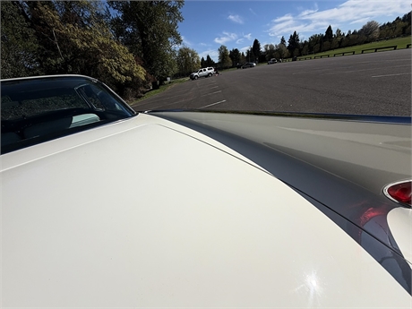 View Listing Image