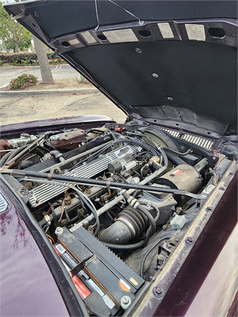 View Listing Image