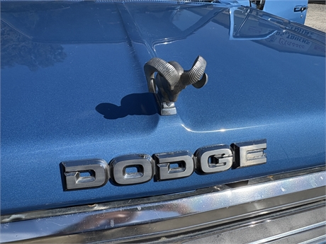 View Listing Image