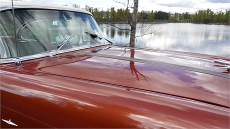 View Listing Image