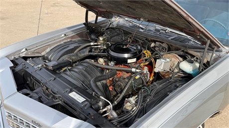 View Listing Image
