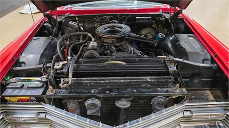 View Listing Image