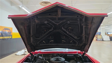 View Listing Image