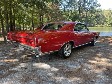 View Listing Image