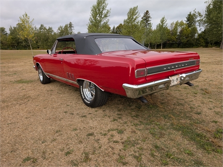 View Listing Image