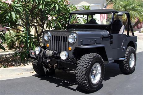 1954 Willys CJ-3B Available For Auction | AutoHunter.com | 11501344