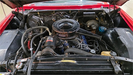 View Listing Image