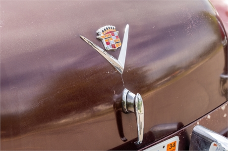 View Listing Image