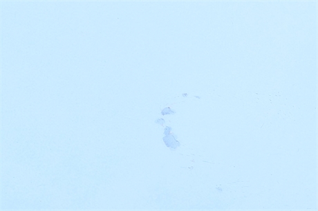 View Listing Image