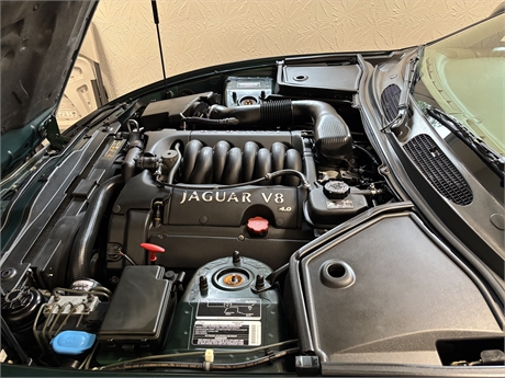View Listing Image