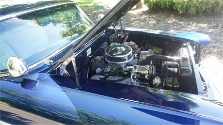 View Listing Image