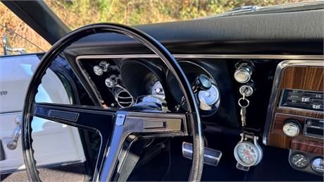 View Listing Image