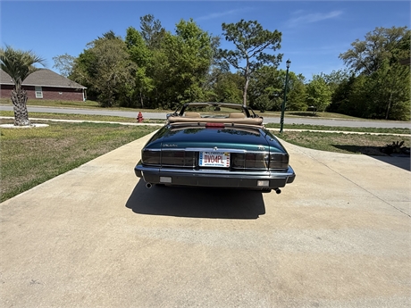 View Listing Image