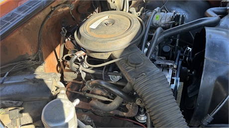 View Listing Image