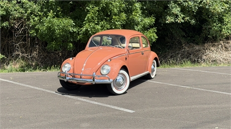 View Listing Image