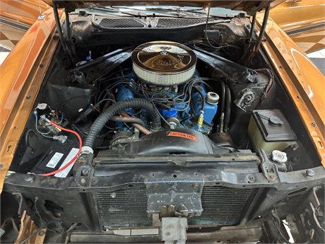 View Listing Image