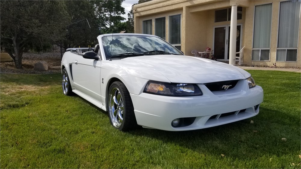 2001 Ford Mustang Svt Cobra Convertible 5 Speed Available For Auction Autohunter Com 7887085