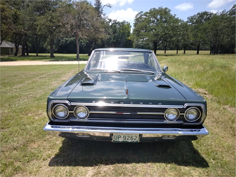 View Listing Image