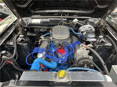 View Listing Image